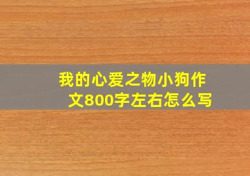 我的心爱之物小狗作文800字左右怎么写