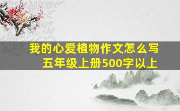 我的心爱植物作文怎么写五年级上册500字以上