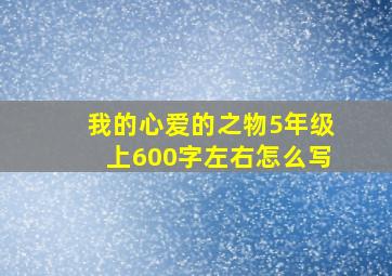 我的心爱的之物5年级上600字左右怎么写