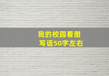 我的校园看图写话50字左右