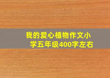 我的爱心植物作文小学五年级400字左右