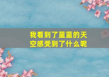 我看到了蓝蓝的天空感受到了什么呢