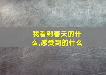 我看到春天的什么,感受到的什么