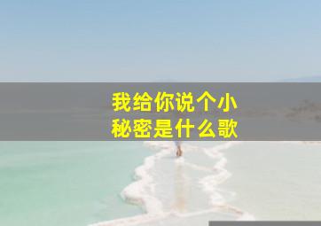 我给你说个小秘密是什么歌