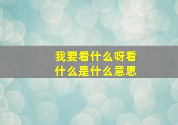 我要看什么呀看什么是什么意思