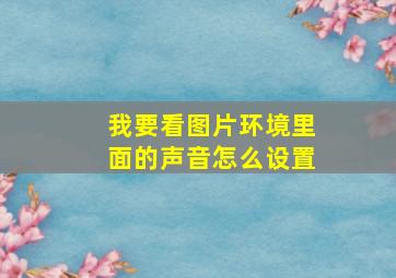 我要看图片环境里面的声音怎么设置