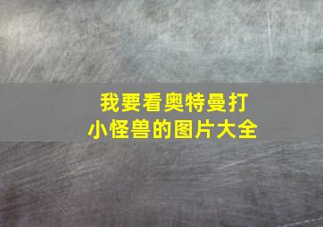 我要看奥特曼打小怪兽的图片大全