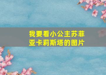 我要看小公主苏菲亚卡莉斯塔的图片