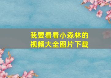 我要看看小森林的视频大全图片下载