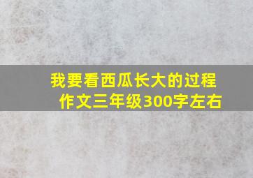 我要看西瓜长大的过程作文三年级300字左右