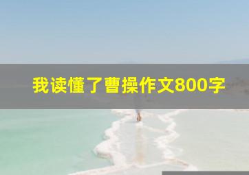 我读懂了曹操作文800字