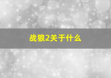 战狼2关于什么