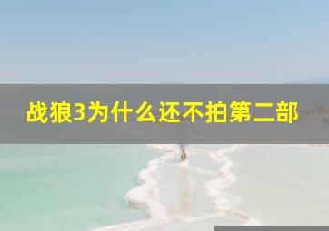 战狼3为什么还不拍第二部