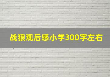 战狼观后感小学300字左右