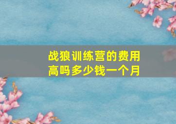 战狼训练营的费用高吗多少钱一个月