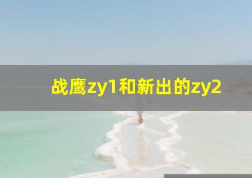 战鹰zy1和新出的zy2