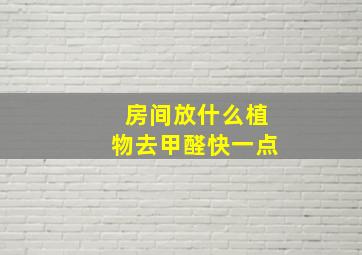 房间放什么植物去甲醛快一点