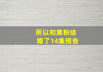 所以和黑粉结婚了14集预告