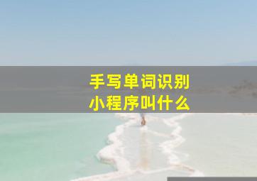 手写单词识别小程序叫什么