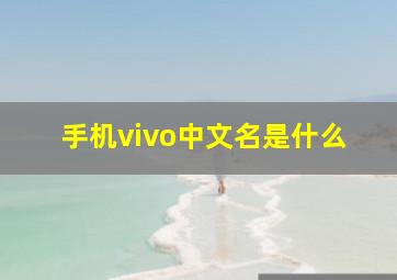 手机vivo中文名是什么