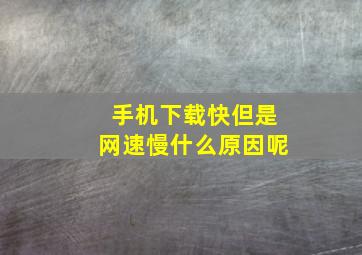 手机下载快但是网速慢什么原因呢