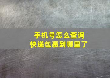 手机号怎么查询快递包裹到哪里了