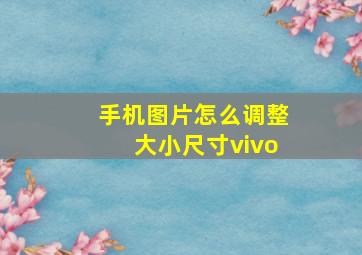 手机图片怎么调整大小尺寸vivo