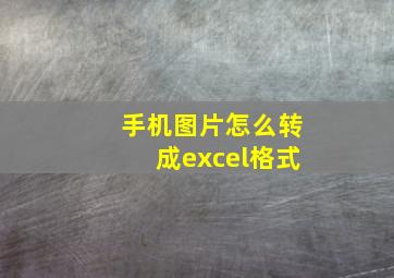 手机图片怎么转成excel格式