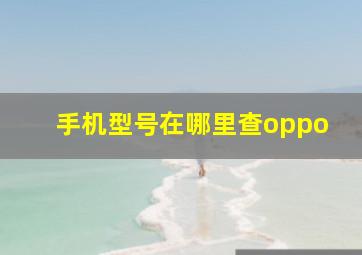 手机型号在哪里查oppo