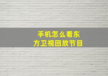 手机怎么看东方卫视回放节目