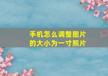 手机怎么调整图片的大小为一寸照片