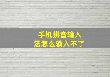 手机拼音输入法怎么输入不了