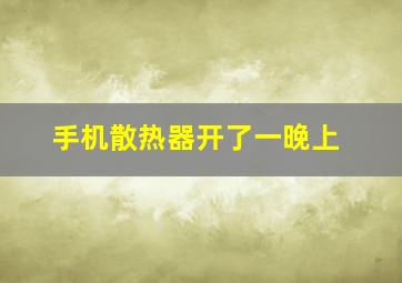 手机散热器开了一晚上