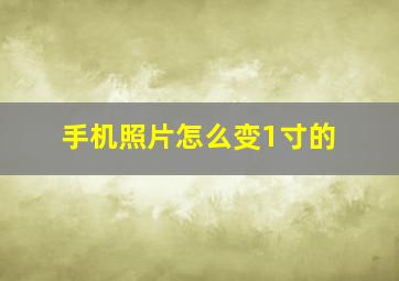 手机照片怎么变1寸的