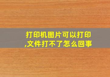 打印机图片可以打印,文件打不了怎么回事