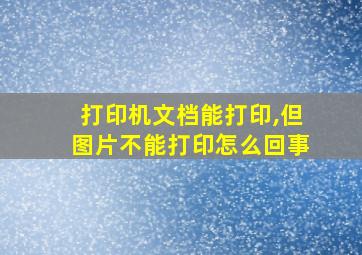 打印机文档能打印,但图片不能打印怎么回事