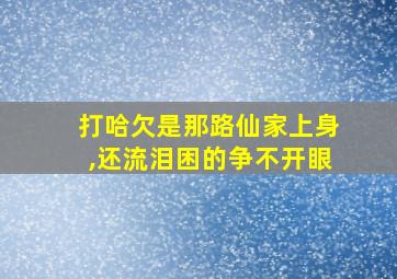 打哈欠是那路仙家上身,还流泪困的争不开眼