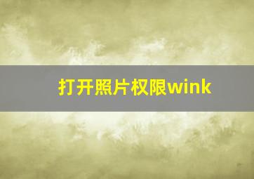 打开照片权限wink