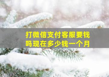 打微信支付客服要钱吗现在多少钱一个月