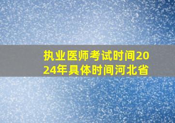 执业医师考试时间2024年具体时间河北省