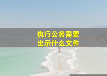 执行公务需要出示什么文件