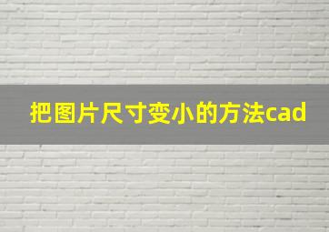 把图片尺寸变小的方法cad