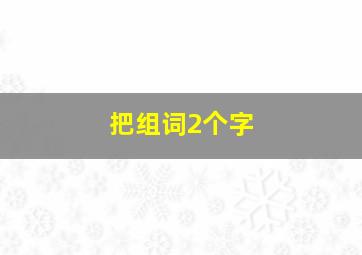 把组词2个字