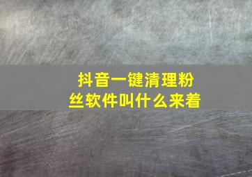 抖音一键清理粉丝软件叫什么来着