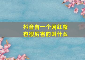 抖音有一个网红整容很厉害的叫什么