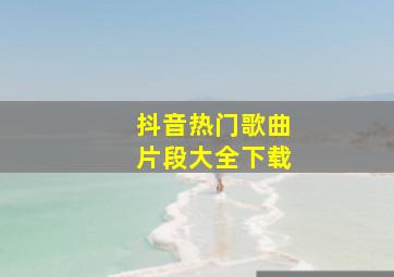 抖音热门歌曲片段大全下载