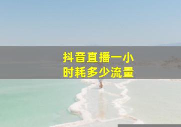 抖音直播一小时耗多少流量