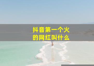 抖音第一个火的网红叫什么