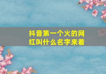 抖音第一个火的网红叫什么名字来着