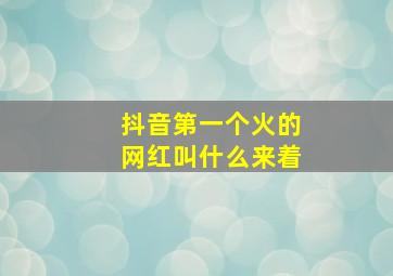 抖音第一个火的网红叫什么来着